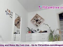 Awesome Sexy Twink SheBabe doing a Web Cam Show Part 3