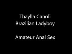 Thaylla Canolli Brazilian Shemale